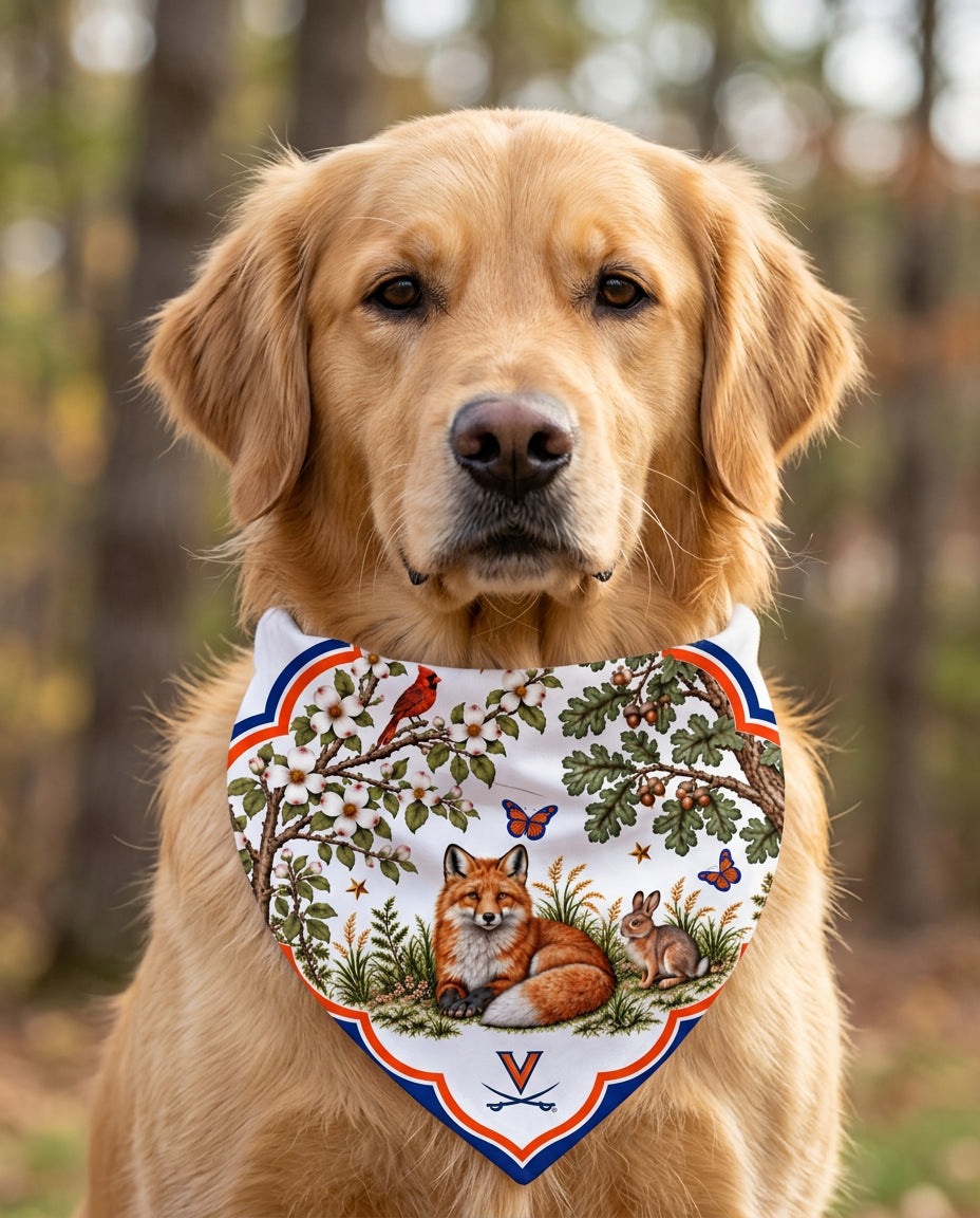 Golden retriever wearing the UVA b.Honey Paw
