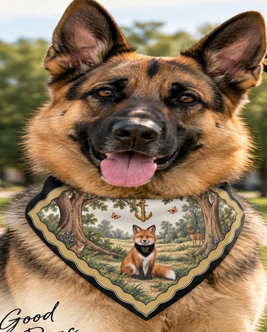 German shepherd wearing the Vanderbilt b.Honey Paw