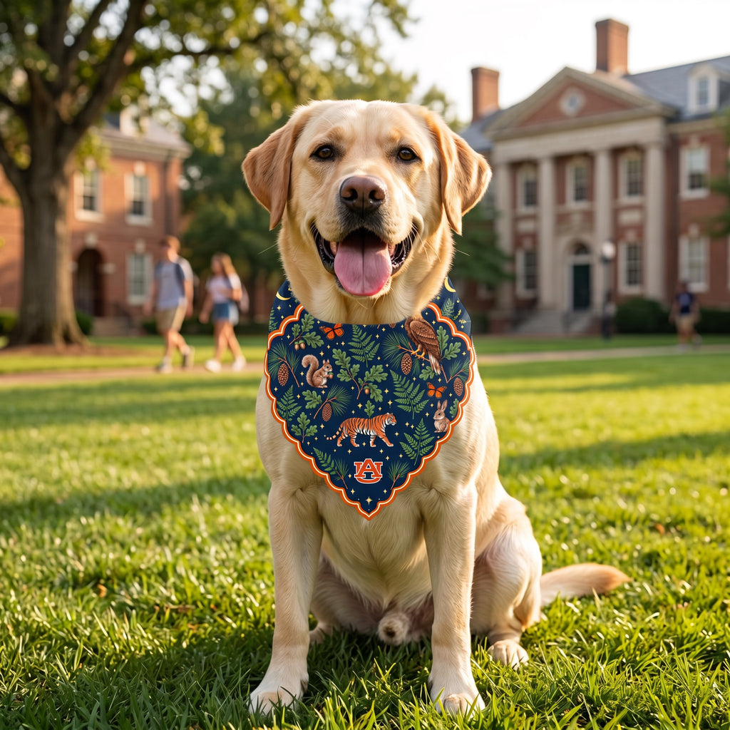 Golden Labrador wearing the b.Honey Paw: Auburn University bandana