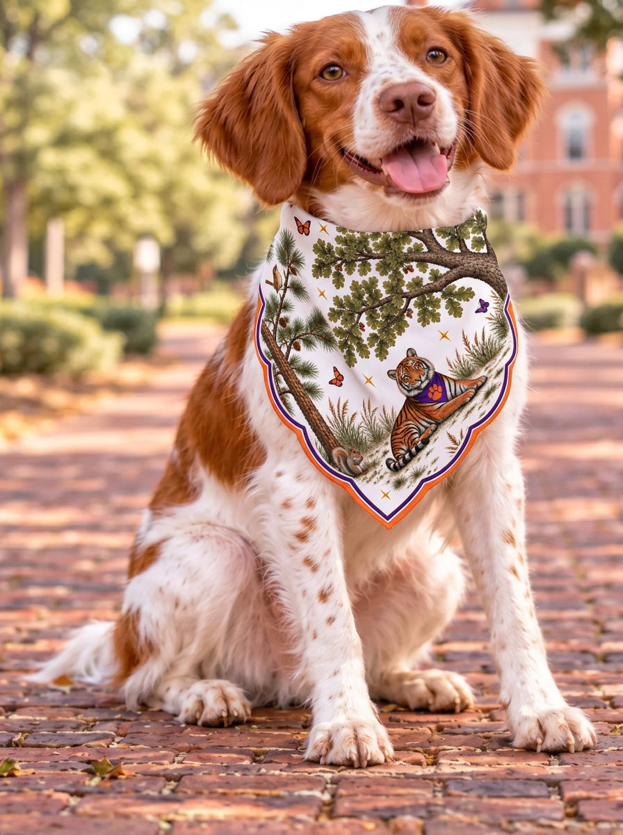Honey Paw: Clemson University on a Brittany spaniel