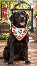 Dog wearing Honey Paw Georgia bandana