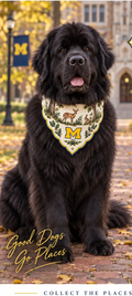 Dog wearing Honey Paw Michigan bandana
