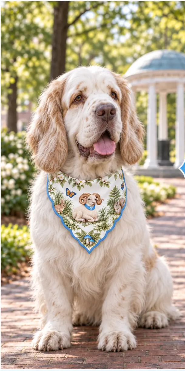 Dog wearing Honey Paw Carolina bandana
