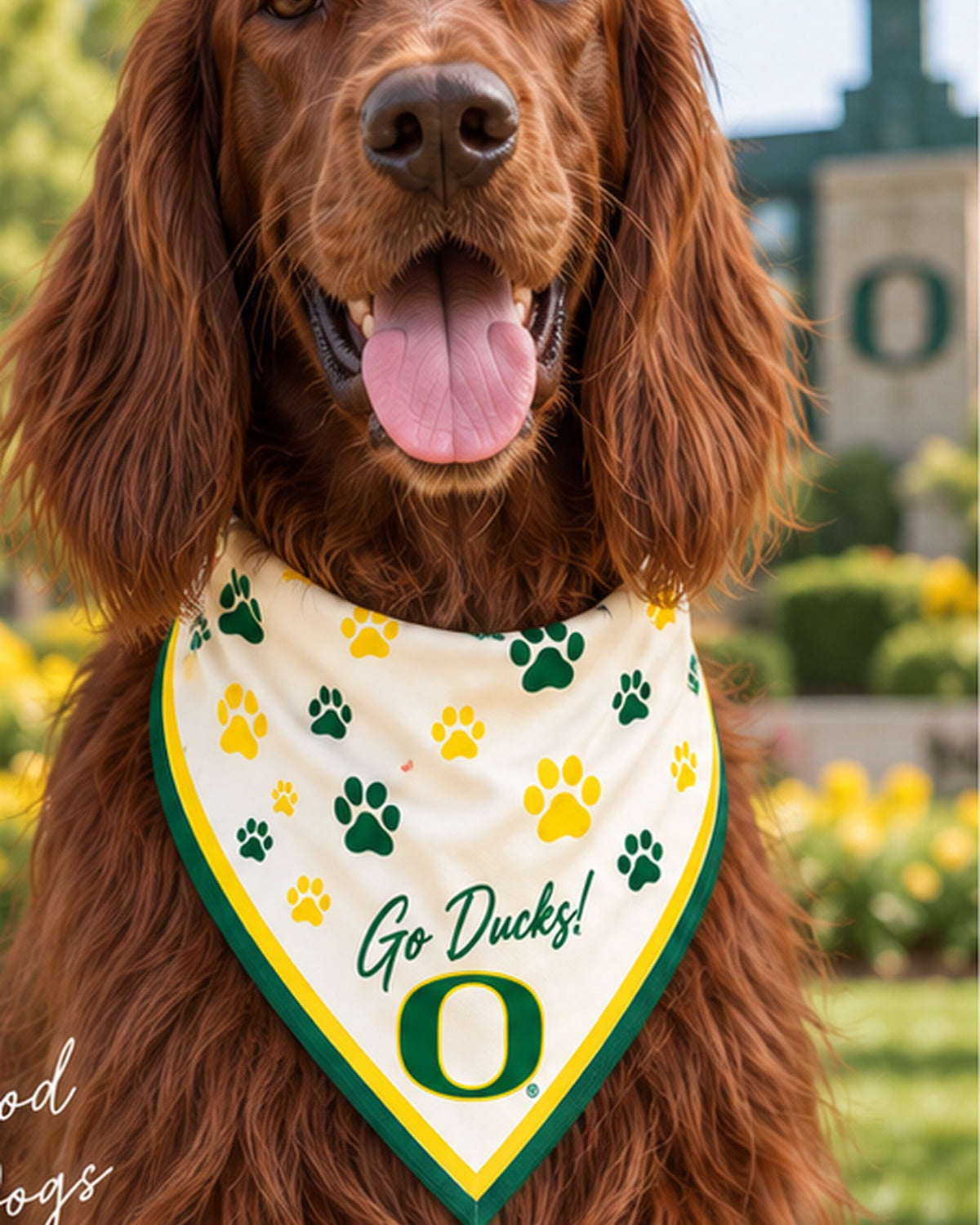 Irish setter wearing the Honey Paw ivory cotton bandana with green and yellow paw prints, Go Ducks! and the University of Oregon O