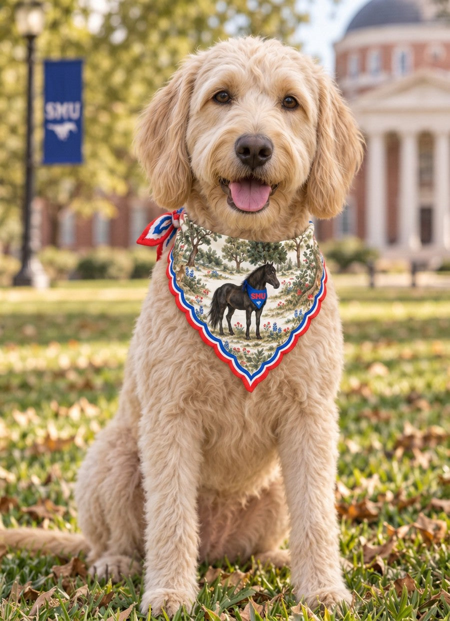 Goldendoodle on the SMU campus wearing the Honey Paw bandana