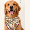 Golden retriever wearing the Honey Paw: Louisiana State University bandana
