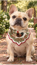 French bulldog wearing the Honey Paw South Carolina bandana with the new Carolina scene and red scalloped border