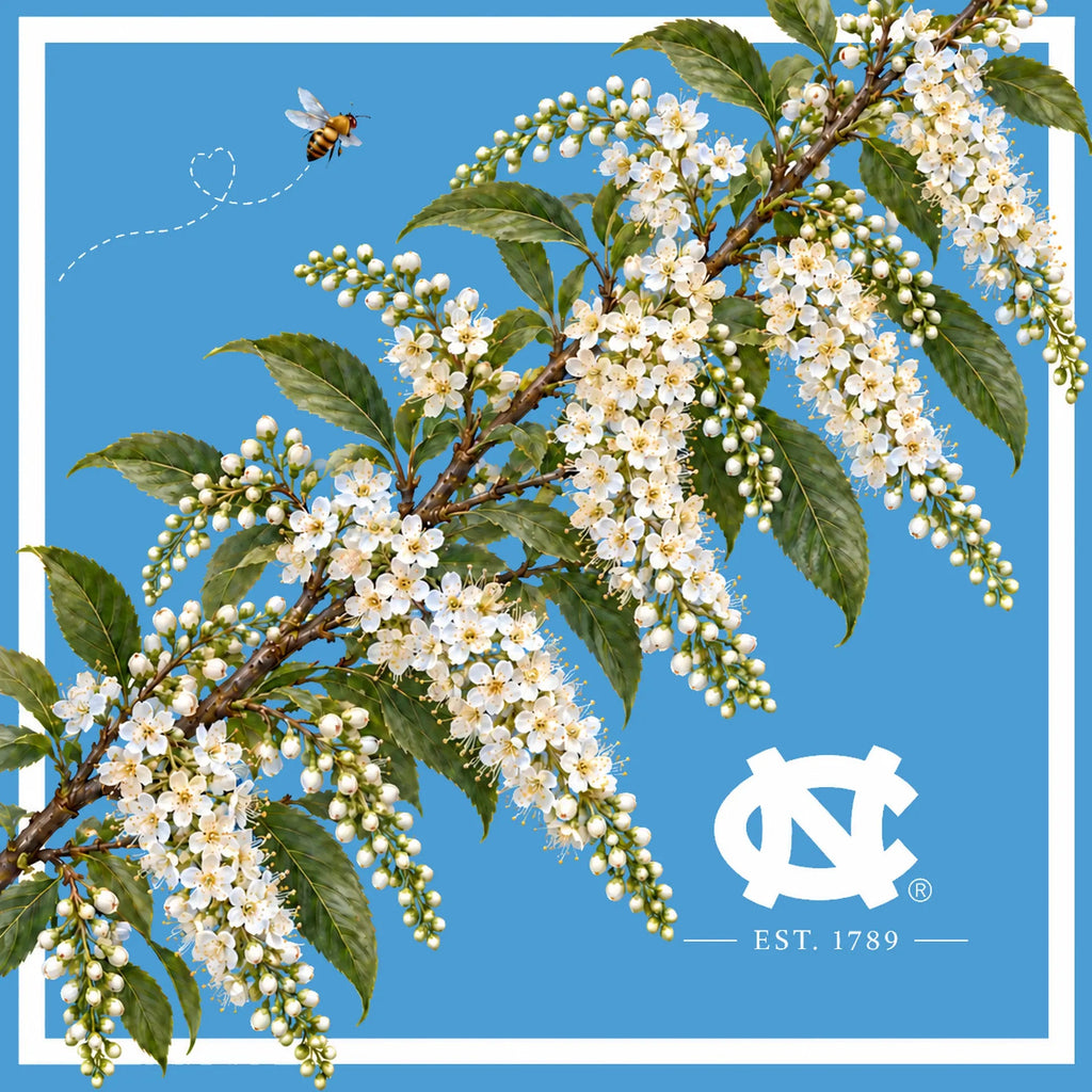 UNC Honey Scarf flat artwork